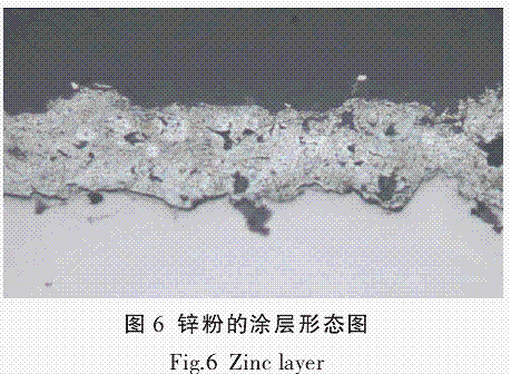图片10.gif