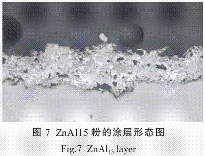 图片11.gif