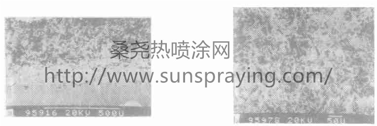 12.20.1_副本.jpg