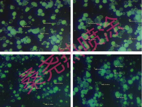 硅酸镱喷涂粉末_副本.jpg