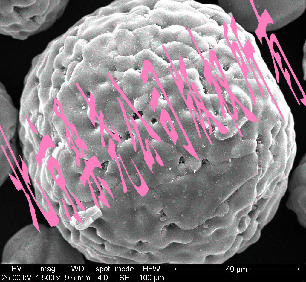 扫描电镜下titanium oxide(TiO2)